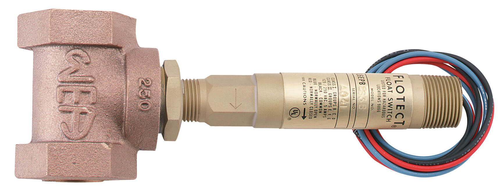 DWYER L6系列  FLOTECT? 液位開關(guān) 易嵌壁或外部安裝，達(dá)到2000psig（138bar）